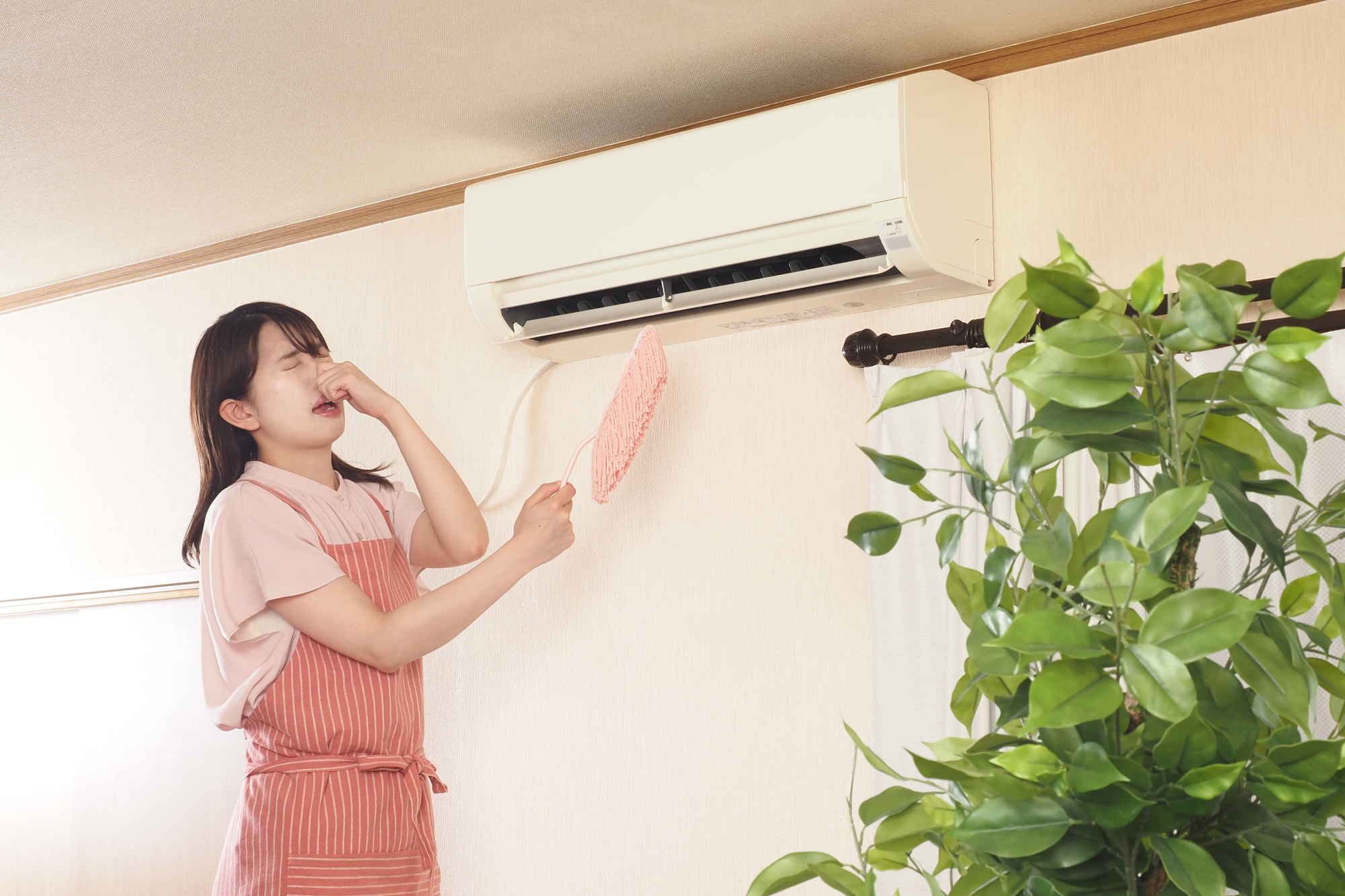 ＝＝注目ポイント［その2］＝＝の写真