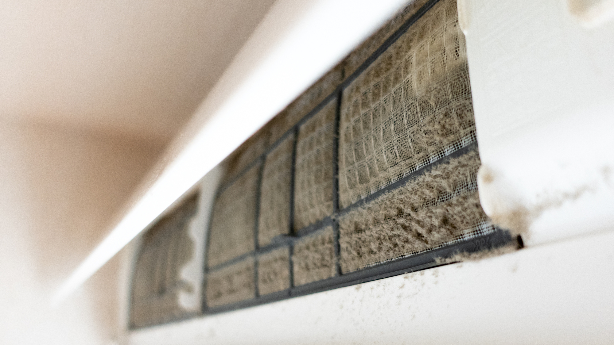 PrimeBuildの紹介写真_2枚目